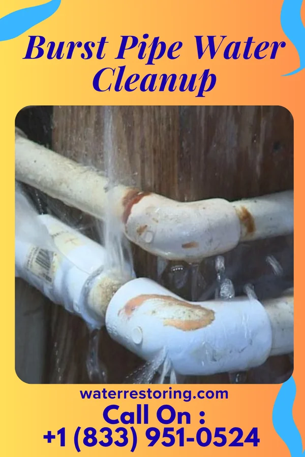 Burst Pipe Water Cleanup in Simmesport, LA