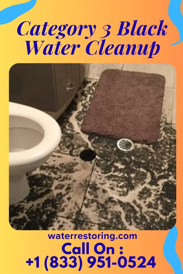 Category 3 Black Water Cleanup in Simmesport, LA
