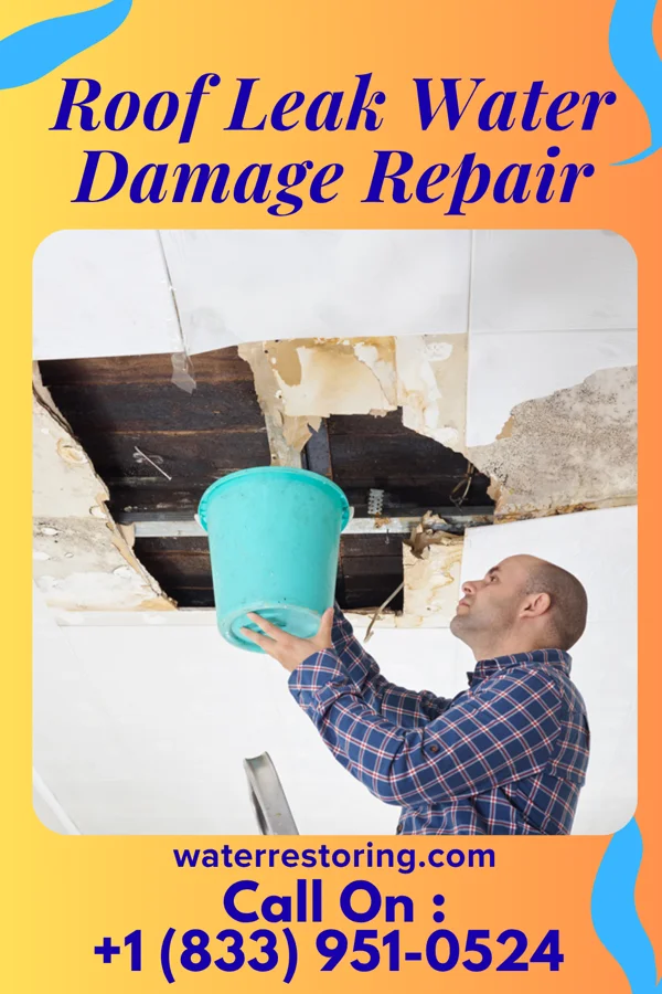 Roof Leak Water Damage Repair in Simmesport, LA