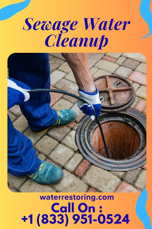 Sewage Water Cleanup in Simmesport, LA